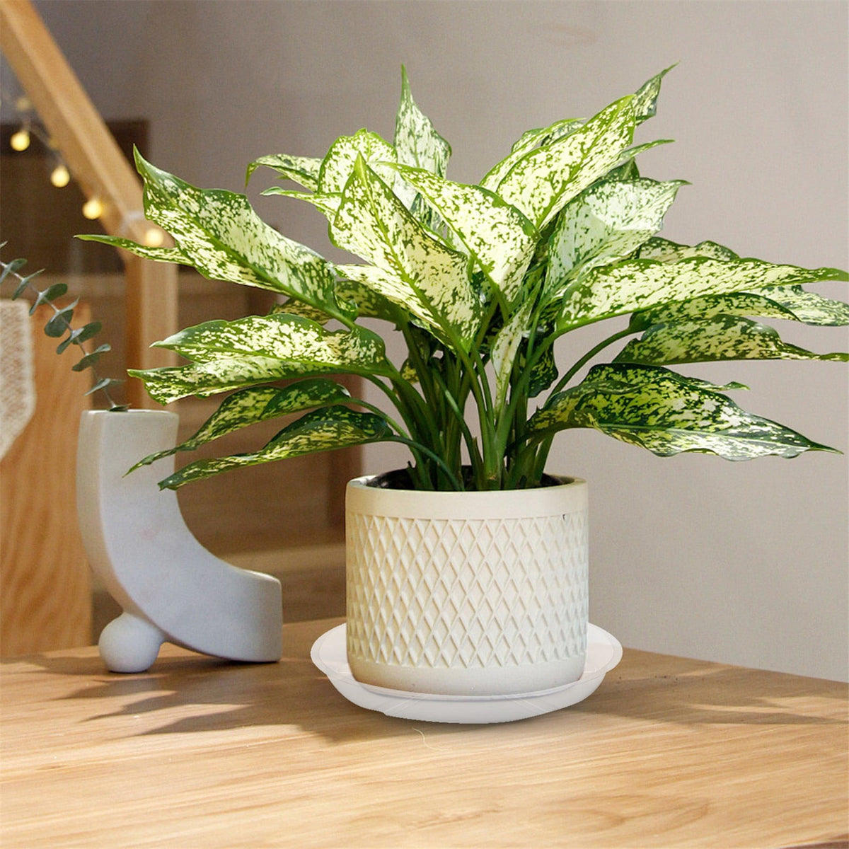 Clear Round Plastic Plant Saucer, 10-Inch Drip Tray for Indoor and Outdoor Pots - Image 6