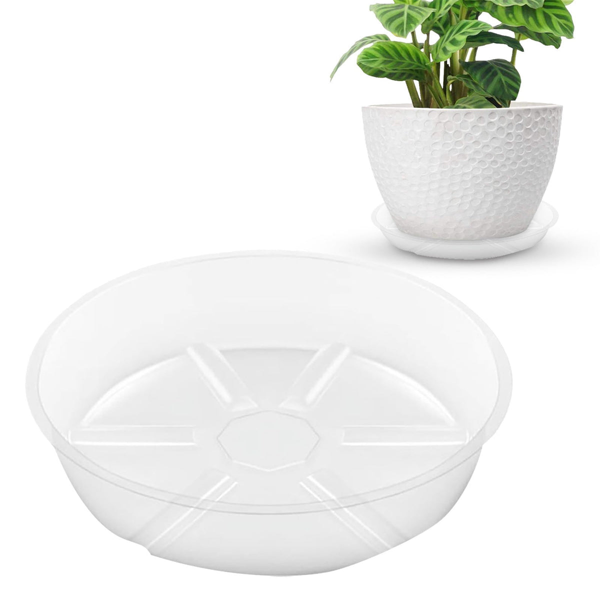 Clear Round Plastic Plant Saucer, 10-Inch Drip Tray for Indoor and Outdoor Pots - Image 2
