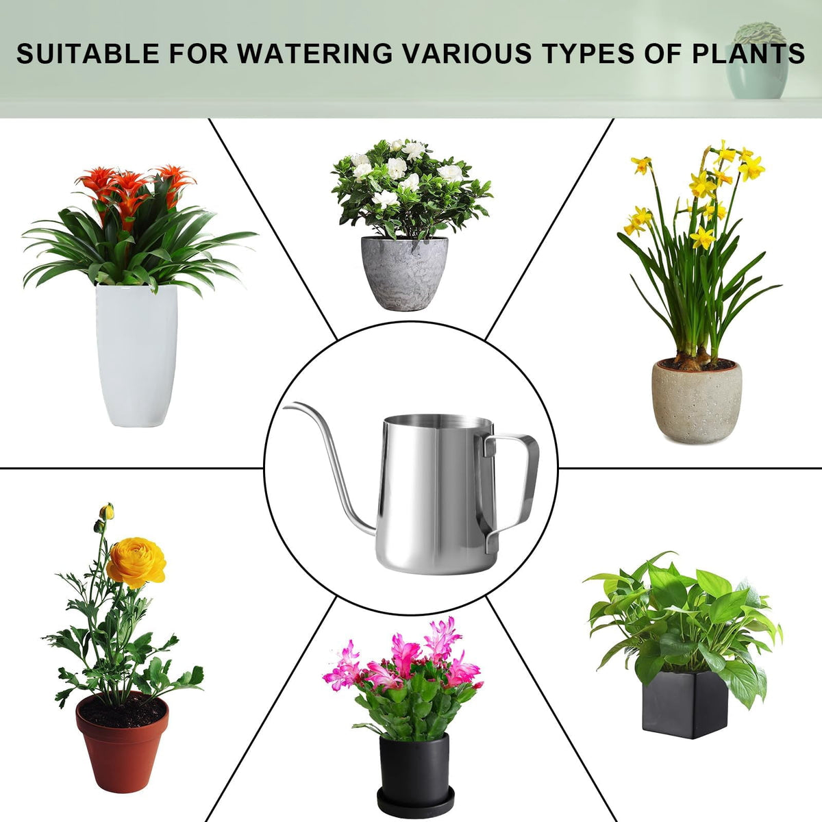 Small Stainless Steel Indoor Watering Can, 12 oz with Long Narrow Spout - Image 5